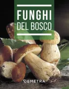 Copertina libro 9788844049263