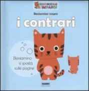 Copertina libro 9788845146329