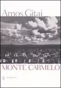 Copertina libro 9788845211065