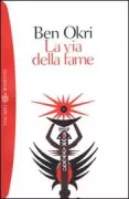 Copertina libro 9788845244865