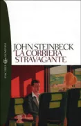 Copertina libro 9788845247316