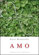 Copertina libro <b>Amo</b>