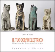Copertina libro <b>Il tuo corpo elettrico</b>