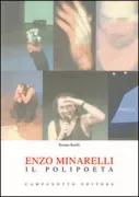 Copertina libro <b>Enzo Minarelli</b>