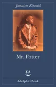 Copertina libro <b>Mr. Potter</b>