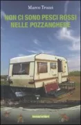 Copertina libro <b>Non ci sono pesci rossi nelle pozzanghere</b>