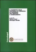 Copertina libro <b>Il distretto delle piastrelle di ceramica di Sassuolo tra identità e cambiamento</b>