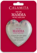 Copertina libro MAGNETI PER UNA MAMMA MOLTO SPECIALE