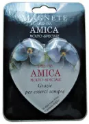 Copertina libro MAGNETI PER UN' AMICA MOLTO SPECIALE