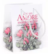 Copertina libro SACCHETTI PER UN AMORE MOLTO SPECIALE
