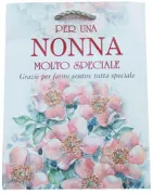 Copertina libro SACCHETTI PER UNA NONNA MOLTO SPECIALE