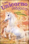 Copertina libro <b>Il primo incantesimo<br></b>(titolo originale o altro titolo: <i>The magic spell</i>)