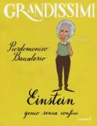Copertina libro <b>Einstein</b>