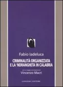 Copertina libro <b>Criminalità organizzata e la 'ndrangheta in Calabria</b>