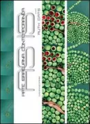 Copertina libro <b>As is</b>