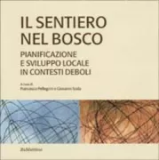 Copertina libro 9788849809336