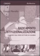 Copertina libro <b>Radicamento e istituzionalizzazione</b>