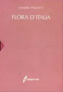 Copertina libro 9788850624492