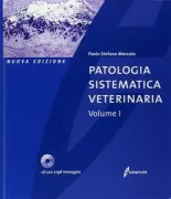 Copertina libro 9788850646562