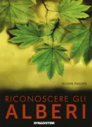 Copertina libro <b>Riconoscere gli alberi<br></b>(titolo originale o altro titolo: <i>Trees in Britain, Europe and North America</i>)