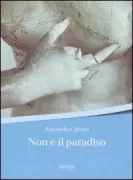 Copertina libro <b>Non è il paradiso</b>
