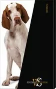 Copertina libro CANIBRACCO ITALIANO. GRANDE