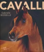 Copertina libro 9788854021426