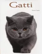 Copertina libro 9788854023734