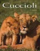 Copertina libro 9788854023796