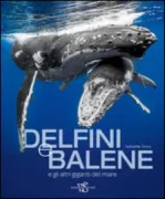 Copertina libro 9788854025097