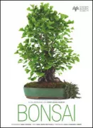 Copertina libro 9788854025394
