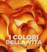 Copertina libro 9788854027091