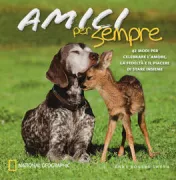 Copertina libro 9788854027107