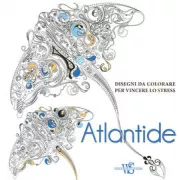 Copertina libro 9788854029682