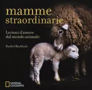Copertina libro <b>Mamme straordinarie</b>