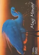 Copertina libro <b>Magic moment</b>