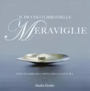 Copertina libro <b>Il piccolo libro delle meraviglie<br></b>(titolo originale o altro titolo: <i>Little book of wonders</i>)