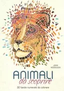 Copertina libro <b>Animali da scoprire<br></b>(titolo originale o altro titolo: <i>Colour Quest Animals</i>)