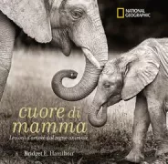 Copertina libro <b>Cuore di mamma<br></b>(titolo originale o altro titolo: <i>The wisdom of moms</i>)