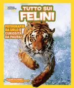 Copertina libro <b>Tutto sui felini<br></b>(titolo originale o altro titolo: <i>Everything big cats</i>)