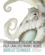 Copertina libro <b>Straordinarie creature marine: piovre, cavallucci marini e meduse<br></b>(titolo originale o altro titolo: <i>Octopus, seahorse, jellyfish</i>)