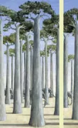 Copertina libro 9788854050853
