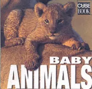Copertina libro BABY ANIMALS