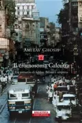 Copertina libro <b>Il cromosoma Calcutta<br></b>(titolo originale o altro titolo: <i>The Calcutta chromosome</i>)