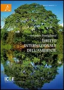 Copertina libro <b>Diritto internazionale dell'ambiente</b>