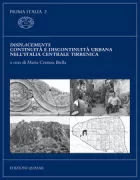 Copertina libro <b>Displacements</b>