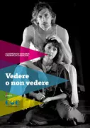 Copertina libro <b>Vedere o non vedere</b>