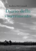 Copertina libro <b>Diario dello smarrimento</b>