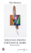 Copertina libro <b>Solo gli angeli chetano il mare</b>