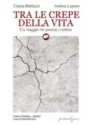 Copertina libro 9788855352536